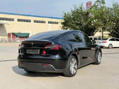 Tesla Model Y Rear-Wheel Drive - ფოტო 4