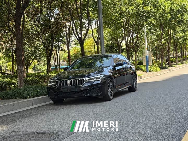 BMW 5 Series 530Li Premier M Sport Package
