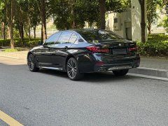 BMW 5 Series 530Li Premier M Sport Package - ფოტო 10