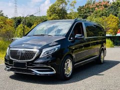 Mercedes-Benz V-Class V 260 Luxury Edition - ფოტო 1