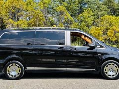 Mercedes-Benz V-Class V 260 Luxury Edition - ფოტო 4