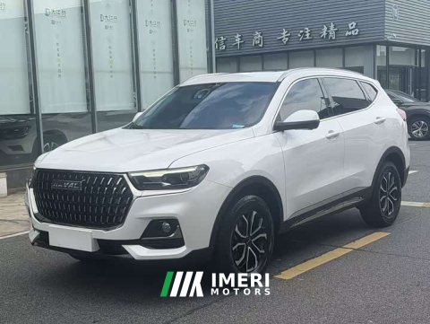 2023 Haval H6 National Trend Edition 1.5T Automatic Urban Version - ავტომობილი ჩინეთიდან