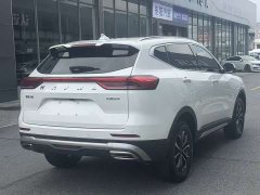 Haval H6 National Trend Edition 1.5T Automatic Urban Version - ფოტო 12