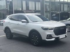 Haval H6 National Trend Edition 1.5T Automatic Urban Version - ფოტო 4