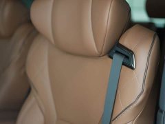 Toyota Alphard Hybrid 2.5L Premium Edition - ფოტო 15