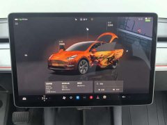 Tesla Model Y Rear-Wheel Drive - ფოტო 16