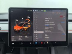 Tesla Model Y Rear-Wheel Drive - ფოტო 17