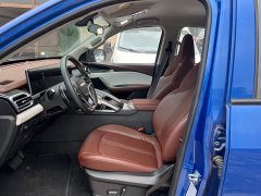 Interstellar H 2.0T Automatic Diesel Twin-Turbo AWD Luxury Long Wheelbase - photo 4