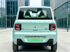Geely Panda Mini 200km Endurance Edition - ფოტო 11
