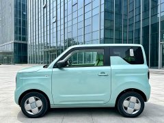 Geely Panda Mini 200km Endurance Edition - ფოტო 12