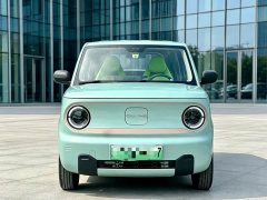 Geely Panda Mini 200km Endurance Edition - ფოტო 2