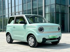 Geely Panda Mini 200km Endurance Edition - ფოტო 3