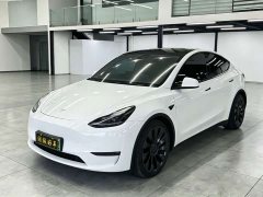Tesla Model Y Performance All-Wheel Drive - ფოტო 1