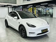 Tesla Model Y Performance All-Wheel Drive - ფოტო 3