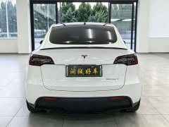 Tesla Model Y Performance All-Wheel Drive - ფოტო 5
