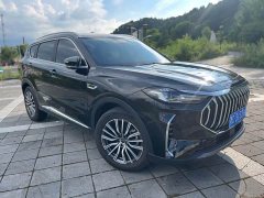 Jetour Jietu X70 PLUS 1.5T DCT Brave PLUS 7-Seater - ფოტო 3
