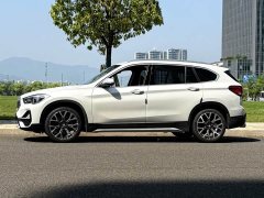 BMW X1 xDrive25Li Luxury - ფოტო 3
