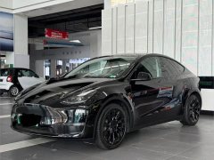 Tesla Model Y Standard Range RWD - ფოტო 1