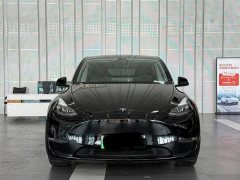 Tesla Model Y Standard Range RWD - ფოტო 3