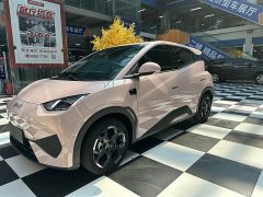 BYD Seagull 2025 Smart Drive 405km Flight Edition - ფოტო 1