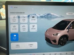 BYD Seagull 2025 Smart Drive 405km Flight Edition - ფოტო 9