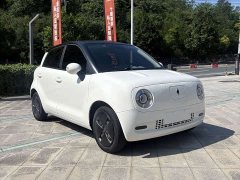 ORA Black Cat 301km Base - ფოტო 9