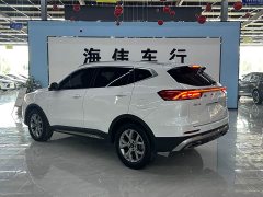 Haval H6 National Trend Edition 1.5T Automatic Champion Version - ფოტო 16