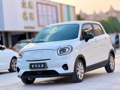 Leapmotor Leapo T03 Amber Edition - ფოტო 1