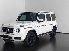 Mercedes-Benz G-Class G 500 - ფოტო 1