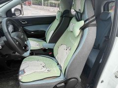 Chery Ant Facelift Sweet Pink Half-Sugar LFP 30.7kWh 30kW 301km - ფოტო 5