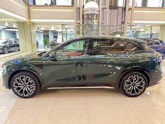 Zeekr Geely Zeekr 7X 75kWh Rear-Wheel Drive MAX - ფოტო 4