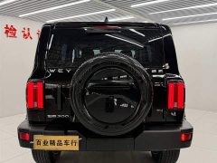 Tank 300 Off-Road Edition 2.0T Conqueror - ფოტო 6