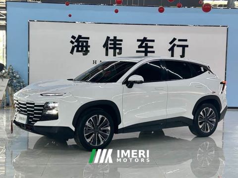 2022 Jetour Jietu Dasheng 1.6T DCT King PRO