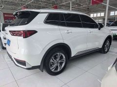 Ford Lingrui EcoBoost 170 Platinum Edition - ფოტო 3