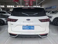 Ford Lingrui EcoBoost 170 Platinum Edition - ფოტო 4