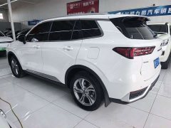 Ford Lingrui EcoBoost 170 Platinum Edition - ფოტო 5
