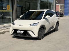 BYD Seagull 305km Vitality Edition - ფოტო 1