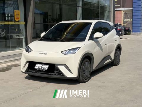 2025 BYD Seagull 305km Vitality Edition - ავტომობილი ჩინეთიდან
