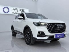 Haval H6 National Trend Edition 1.5T Automatic Urban Version - ფოტო 3