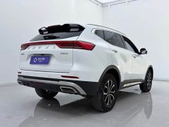 Haval H6 National Trend Edition 1.5T Automatic Urban Version - ფოტო 6