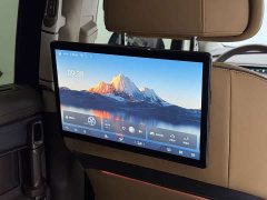Denza BYD Denza D9 2022 EV 600 AWD Flagship - ფოტო 20