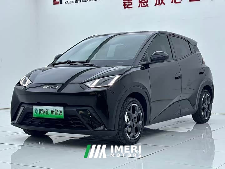 BYD Seagull 305km Freedom Edition