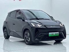 BYD Seagull 2025 305km Freedom Edition - ფოტო 2