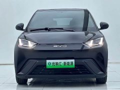 BYD Seagull 2025 305km Freedom Edition - ფოტო 3