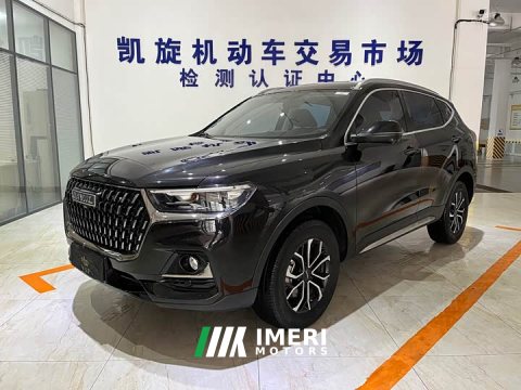 2024 Haval H6 2023 National Trend Edition 1.5T Automatic Urban Version - ავტომობილი ჩინეთიდან
