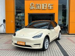 Tesla Model Y Standard Range RWD - ფოტო 1