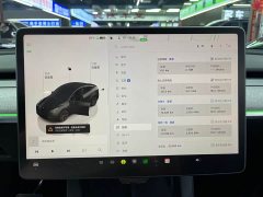 Tesla Model Y Rear-Wheel Drive - ფოტო 10