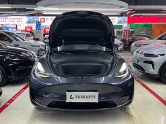 Tesla Model Y Rear-Wheel Drive - ფოტო 17