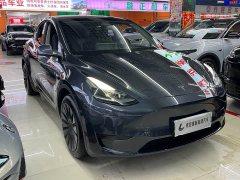 Tesla Model Y Rear-Wheel Drive - ფოტო 3