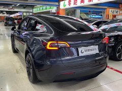 Tesla Model Y Rear-Wheel Drive - ფოტო 4